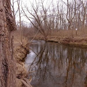 Meet your Posher, Shawn